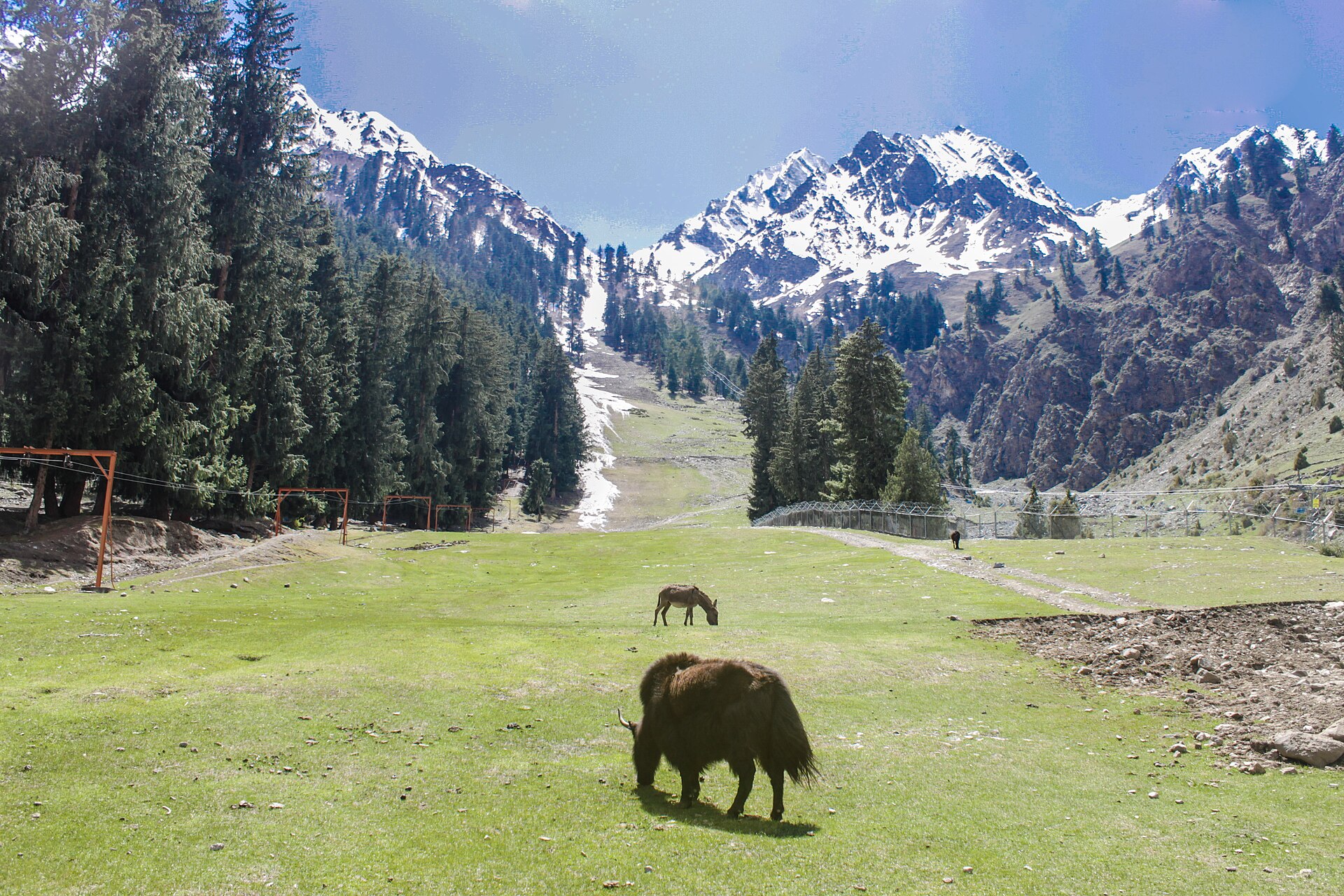 Naltar Valley