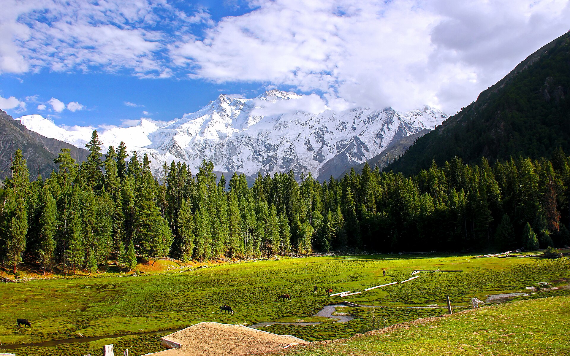 Fairy Meadows Package